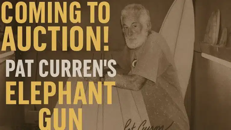 Vintage Surfboard Auction 2025